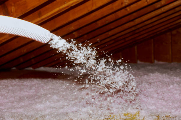 Best Commercial Insulation in Versailles, KY